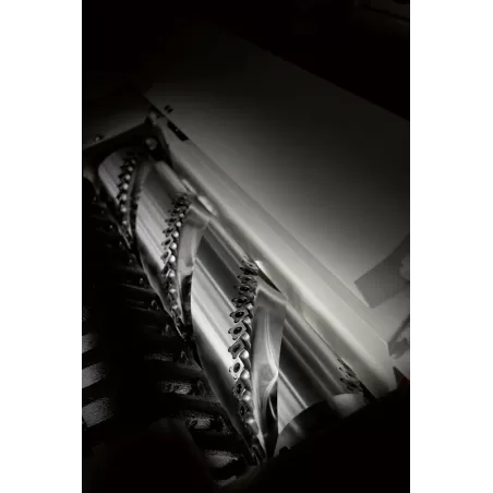 DEGAUCHISSEUSE RABOTEUSE 300 mm - MINIMAX FS 30C : GEDIMO