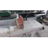 MODELE SCIE TRONÇONNEUSE / RADIALE -
