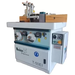 TOUPIE ARBRE INCLINABLE ?? AVEC ENTRAINEUR ?? - WOODMAN T50EI