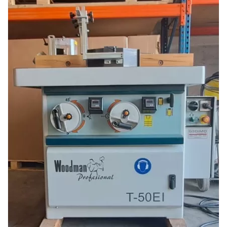 TOUPIE ARBRE INCLINABLE ?? AVEC ENTRAINEUR ?? - WOODMAN T50EI