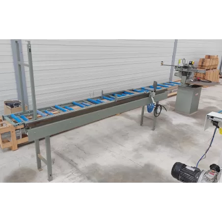 SCIE TRONÇONNEUSE / RADIALE AVEC TABLES & BUTEE PNEUMATIQUE - GRAULE ZS135