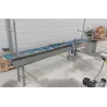 SCIE TRONÇONNEUSE / RADIALE AVEC TABLES & BUTEE PNEUMATIQUE - GRAULE ZS135